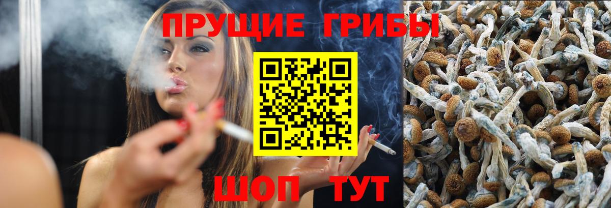 Псилоцибиновые грибы Magic Shrooms Артём